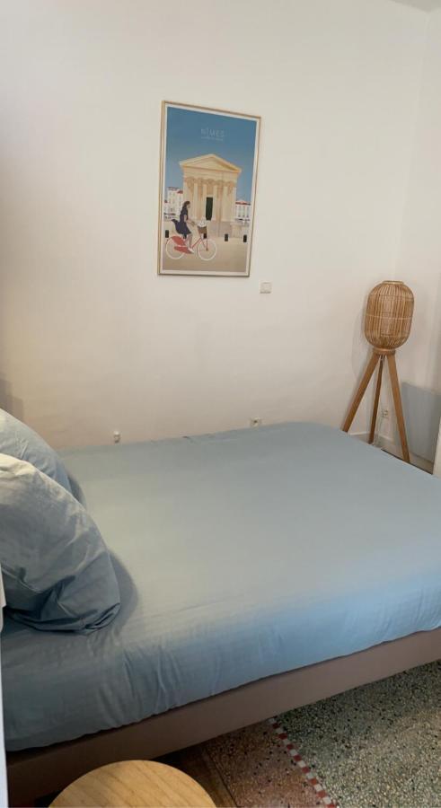 L'Ecrin Des Calquieres Apartment นีมส์ ภายนอก รูปภาพ